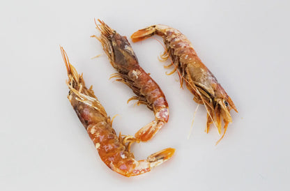 Argentinian Red Shrimp