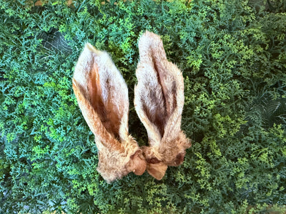 Lamb Ear (2 pc.)