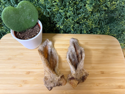 Lamb Ear (2 pc.)